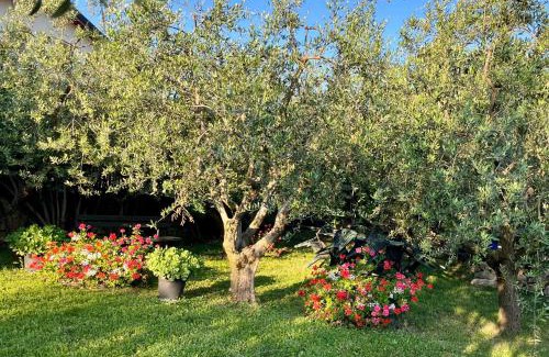 Gargagnago di Valpolicella House | Corte Lavarini