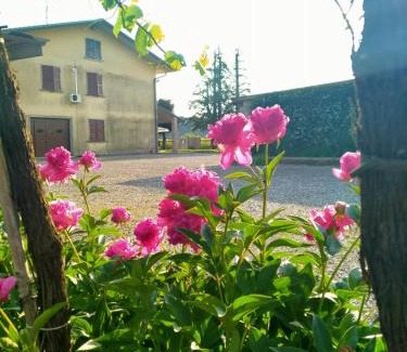 Monteforte d'Alpone House | Corte Ohana