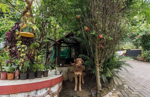 Paud House | CosmicStays Windchime Homestay at Mulshi