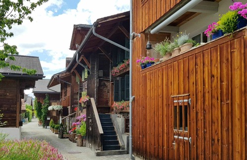 Saanen Apartment | Cosy apartment for 12 people with WIFI, TV and terrace