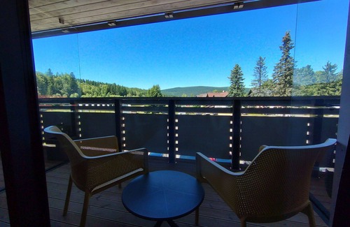 Harrachov Apartment | Cosy apartment for 3 people with WIFI, TV, balcony and panoramic view