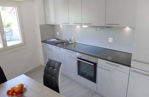 Lucerne Apartment | Cosy apartment for 4 guests with WIFI, TV, balcony and parking