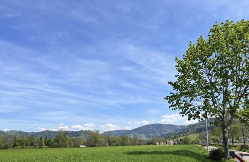 Kirchzarten Apartment | Cosy apartment for 2 people with WIFI, TV, balcony and parking