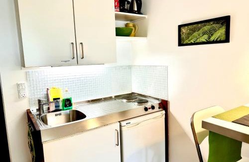 Vallensaek House | Cosy apartment with private terrace