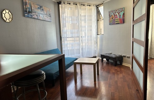 Lastarria Apartment | Cosy, bright apartmentin Bellas Artes/Lastarria.