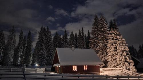 Goreljek Ski Chalet | Cosy Chalet on Pokljuka - Brunarica Tinkara