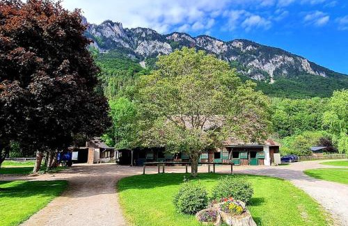 Reichenau an der Rax Apartment | Cosy Family Apartment
