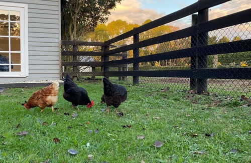 Tyabb Cottage | Cosy FarmStay@Harmony Cottage on Melbournes' Famous Mornington Peninsula