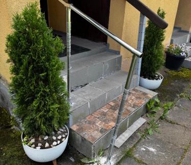 Pussi House | Cosy house with forest view