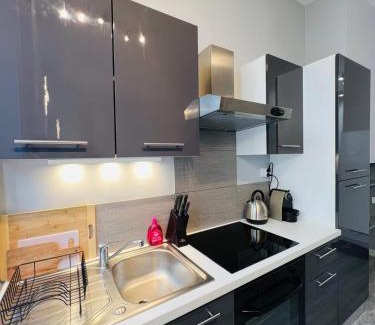 Marechal Lyautey - Vitton Apartment | Cosy Masséna Apartment - Parc Tête d'Or