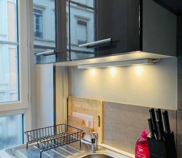 Marechal Lyautey - Vitton Apartment | Cosy Masséna Apartment - Parc Tête d'Or