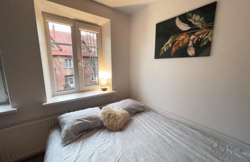 Klaipeda Apartment | Cosy Mini Studio in Old Town