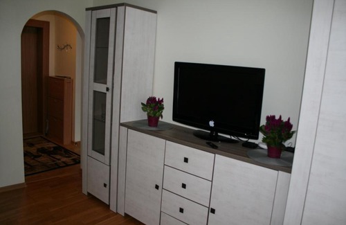 Grigiskes Apartment | Cosy one room apartment