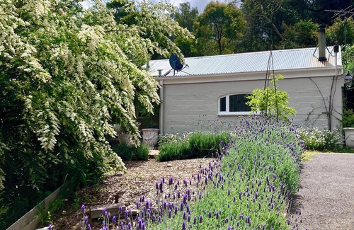 Healesville House | Cosy up by the fireside with our mid week, mid winter SALE now @ One Wee Cottage