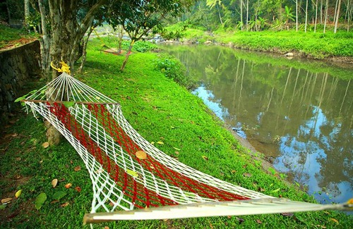 Kunchithanny Resort | Cottage Avondale, Munnar