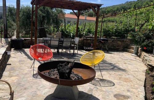 Sao Joao da Pesqueira Villa | Cottage Douro Vallée