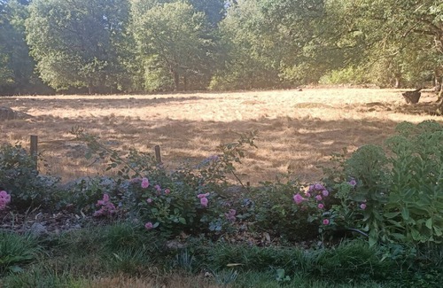 Treize-Vents House | Cottage for 1 to 6 People, La Roche near Puy du Fou