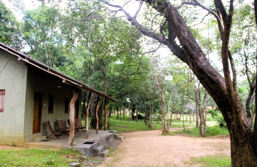 Habarana Cabin | Cottage for 3 - Eagles Wing's GuestHouse
