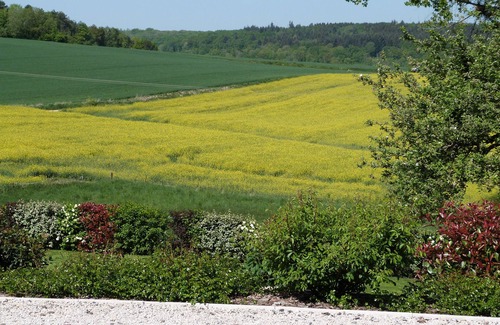 Nanteuil-la-Foret Cottage | Cottage for 4 people in Champagne