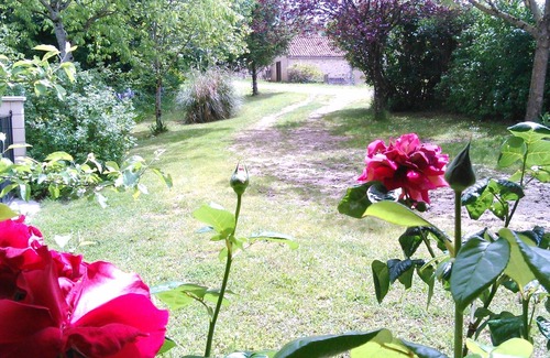 Saint-Cirq-Lapopie House | Cottage for 4 people on the heights of St Cirq Lapopie.