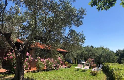 Guardistallo House | Cottage Gaia with sea view, fenced garden by ToscanaTour