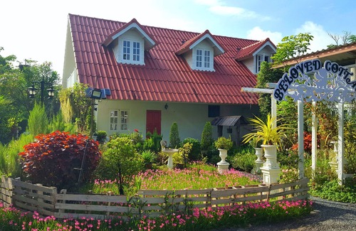 Saraphi Cottage | cottage in a peaceful and gardens,temples,convenience and downtown in 20 minutes