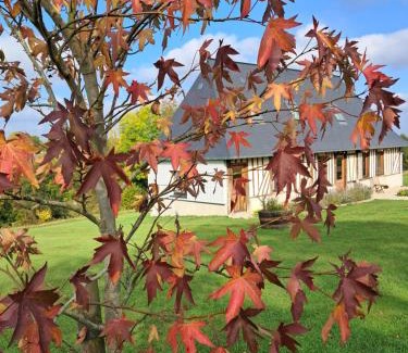 Pont-Audemer - Val de Risle House | Cottage normand, gîte à la campagne, au calme
