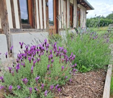 Pont-Audemer - Val de Risle House | Cottage normand, gîte à la campagne, au calme