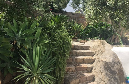 Aeolian Islands Apartment | Cottage with large garden in the center of Panarea