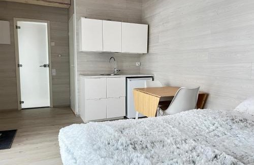 Vaajakoski Apartment | Cottage with sauna