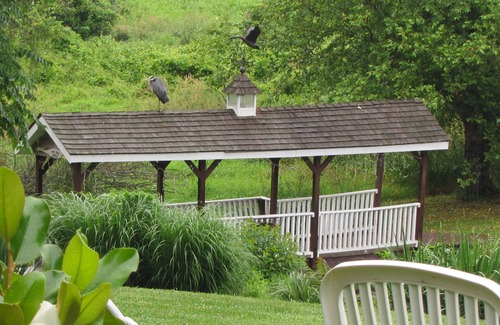 Chestertown Cottage | Cottage within walking distance to the Bay!