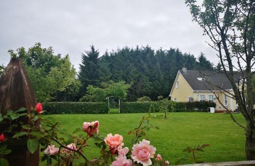 Knockaderry Cross Roads House | Country home in coolkenno, near Tullow & Shillelagh Wicklow