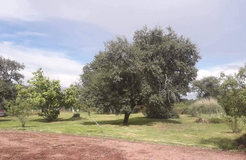 Saulge Other | Country Homes Gite 86500 Near Montmorillon