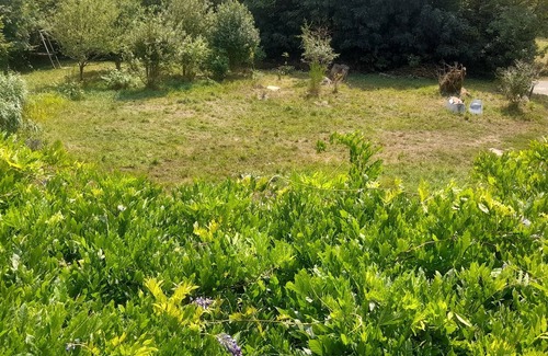 Murat-sur-Vebre House | Country house "Au pied du Puech". Large plot, terrace and space!