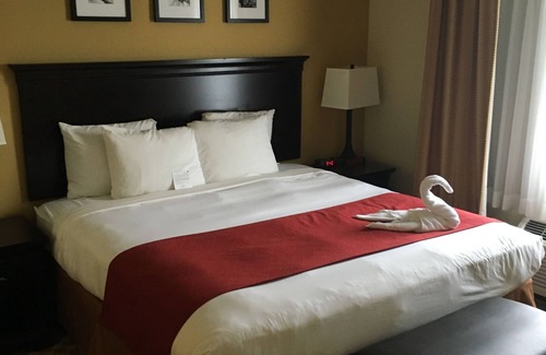 Port Orange Hotel | Country Inn & Suites by Radisson, Port Orange-Daytona, FL