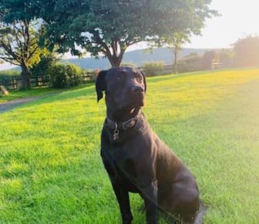 Walterstone House | Countryside Retreat Loft Apartment