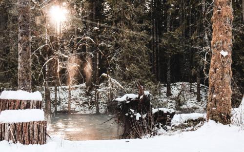 Lake Cowichan Cabin | Cowichan River Lodge
