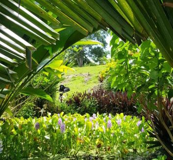 Orange Bay House | Coyaba private hilltop jungle retreat