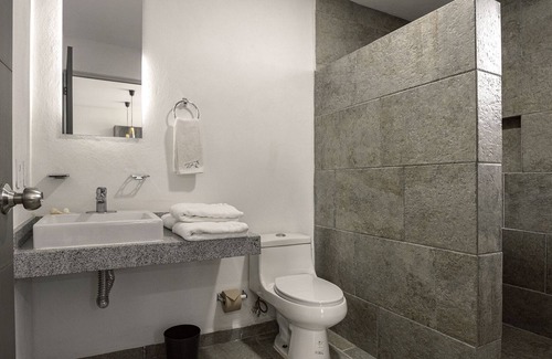 Aguascalientes Apartment | Coyotes Housing Services