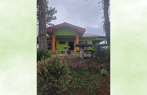 Quebrada La Gamba House | Cozi cabin in the mountains surrounded by pine trees