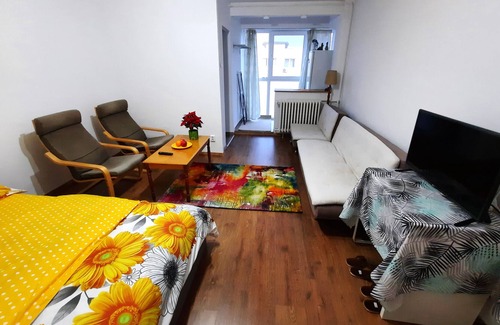 Sector 2 Apartment | Cozy 1 BR apartment with free street parking