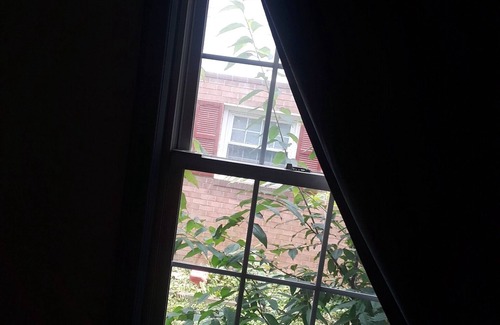 Berwyn Apartment | Cozy 1 BR, Walk to Univ of MD, walk to Metro DC access, walk to shops n restaura