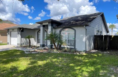 Carrollwood House | Cozy 3 bedroom home close to everything in Tampa!