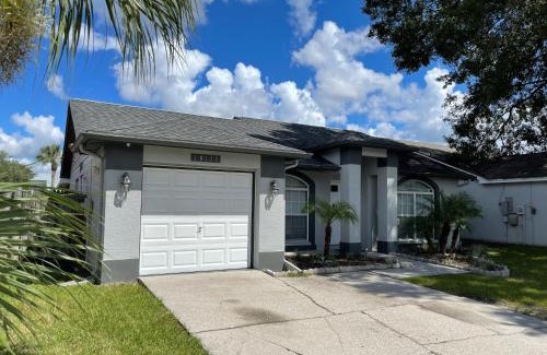 Carrollwood House | Cozy 3 bedroom home close to everything in Tampa!