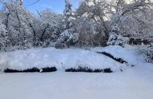 Olympus Cove House | Cozy 4-bedroom ski house in adorable Holladay - Alta, Snowbird, Park City