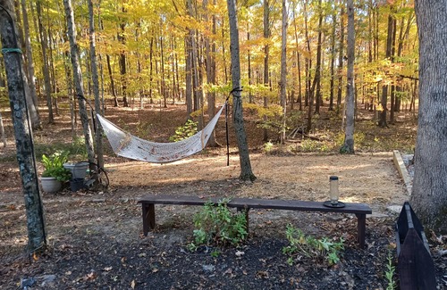 West Union Cabin | Cozy Amish built cabin in Adams County Ohio, relax and watch the buggies go by.n