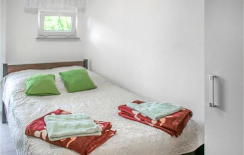 Drawno Apartment | Cozy Apartment In Dominikowo With Wifi