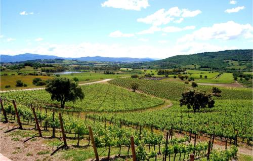 Montenero Apartment | Cozy Apartment In Montenero D'orcia