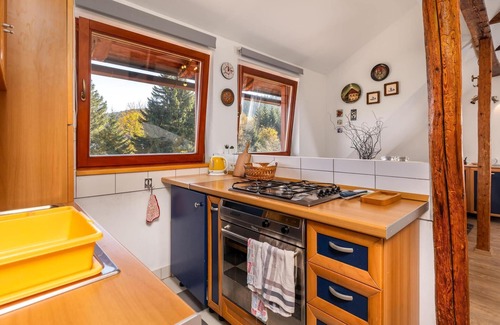 Ravna Gora Apartment | Cozy apartment in Ravna Gora with WiFi