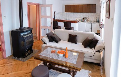 Gracac Apartment | Cozy Apartment In Srb With Wifi
